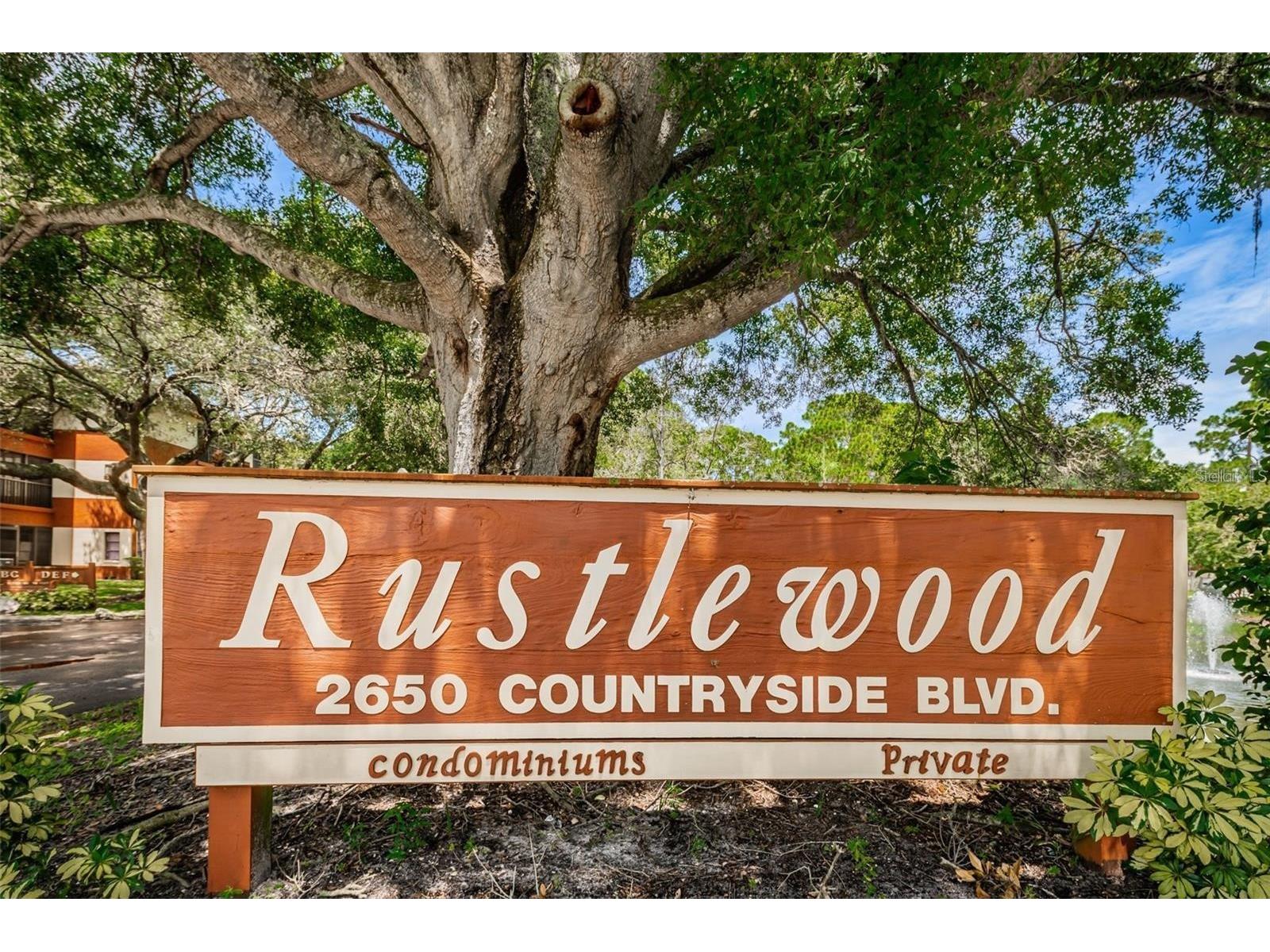 2650 Countryside Boulevard #E103 Clearwater FL 33761 TB8504236 image24