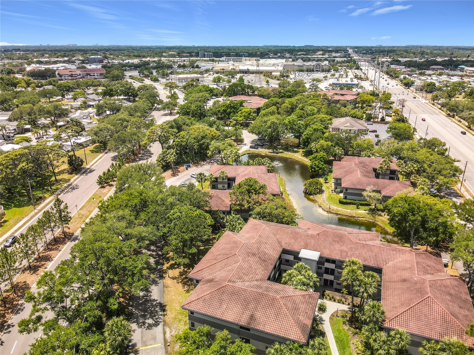 2650 Countryside Boulevard #E103 Clearwater FL 33761 TB8504236 image25