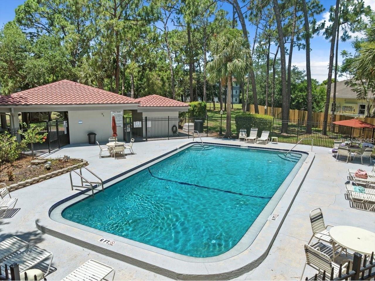 2650 Countryside Boulevard #E103 Clearwater FL 33761 TB8504236 image27