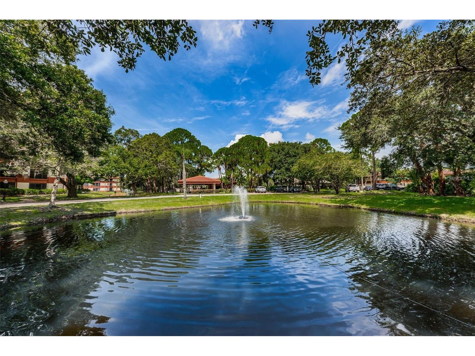 2650 Countryside Boulevard #E103 Clearwater FL 33761 TB8504236 image29