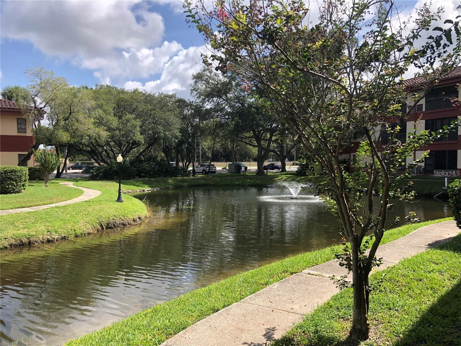2650 Countryside Boulevard #E103 Clearwater FL 33761 TB8504236 image30