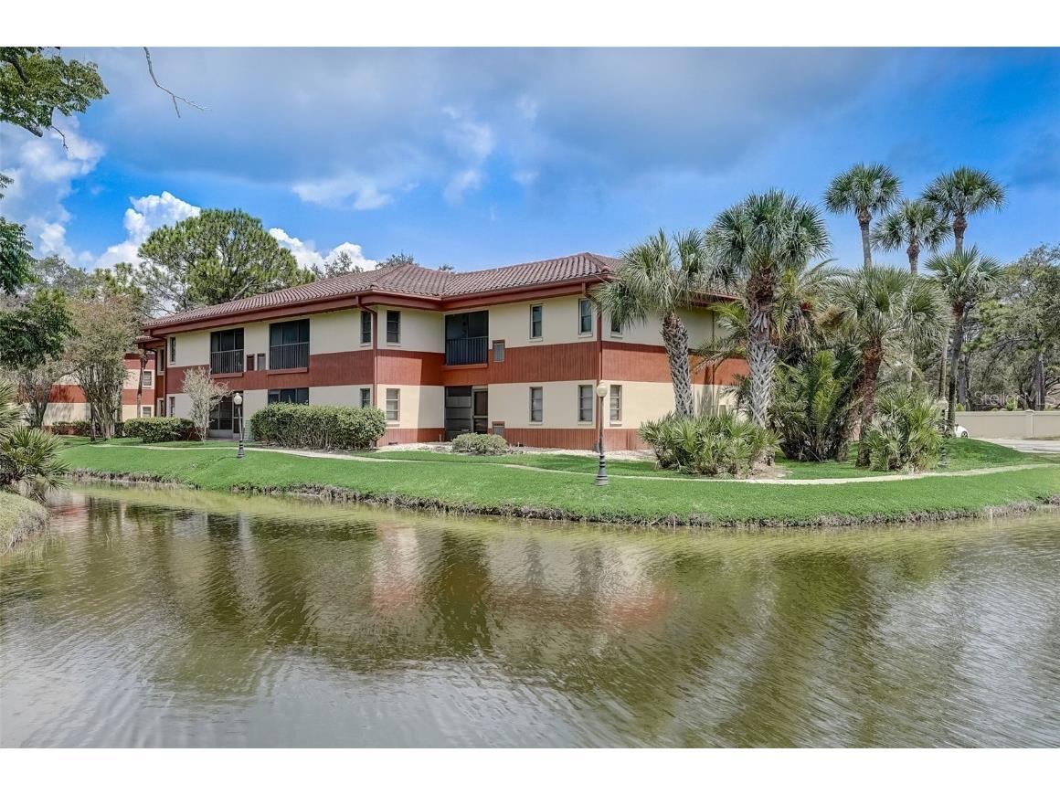 2650 Countryside Boulevard #E205 Clearwater FL 33761 T3542976 image1