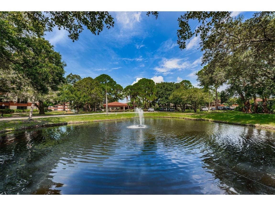 2650 Countryside Boulevard #F110 Clearwater FL 33761 TB8307387 image1