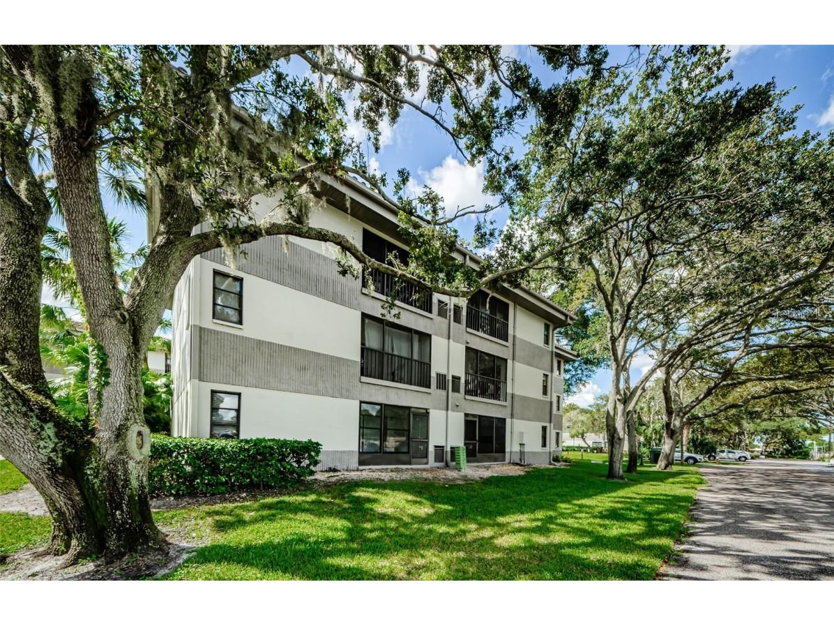 2650 Countryside Boulevard #F110 Clearwater FL 33761 TB8307387 image20