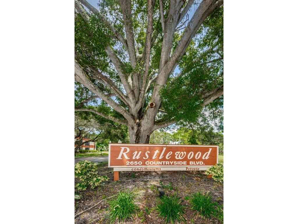 2650 Countryside Boulevard #F110 Clearwater FL 33761 TB8307387 image21