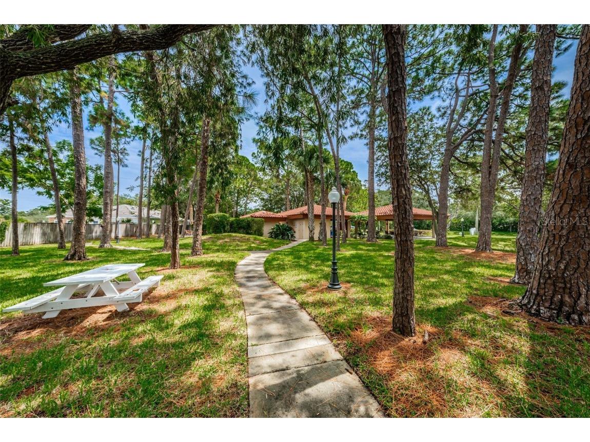 2650 Countryside Boulevard #F110 Clearwater FL 33761 TB8307387 image25