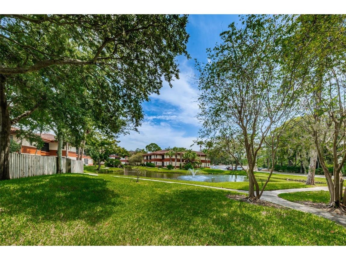 2650 Countryside Boulevard #F110 Clearwater FL 33761 TB8307387 image26