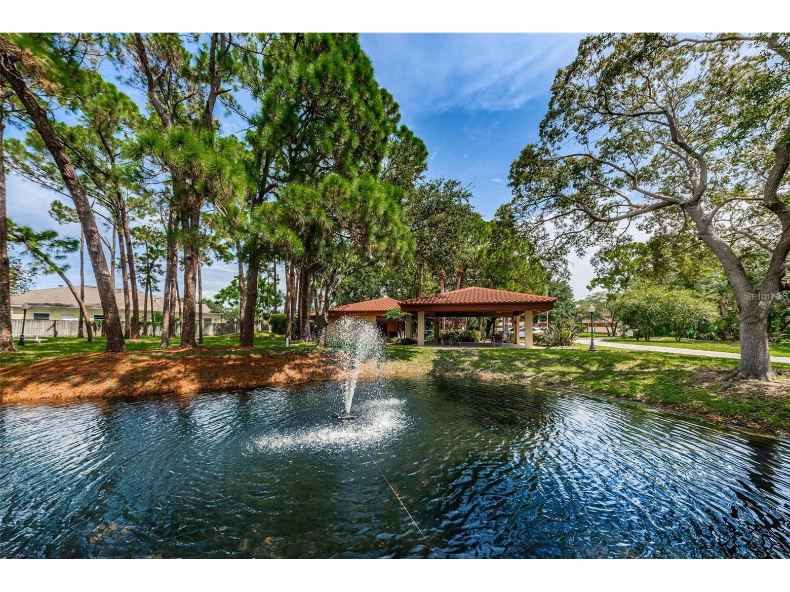 2650 Countryside Boulevard #F110 Clearwater FL 33761 TB8513691 image19