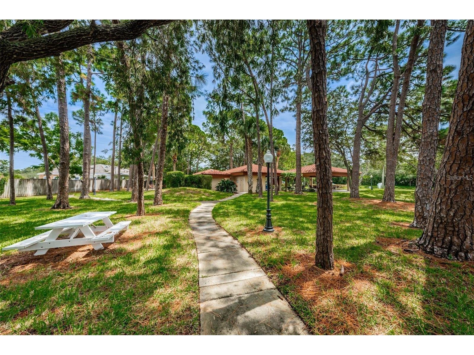 2650 Countryside Boulevard #F110 Clearwater FL 33761 TB8513691 image20