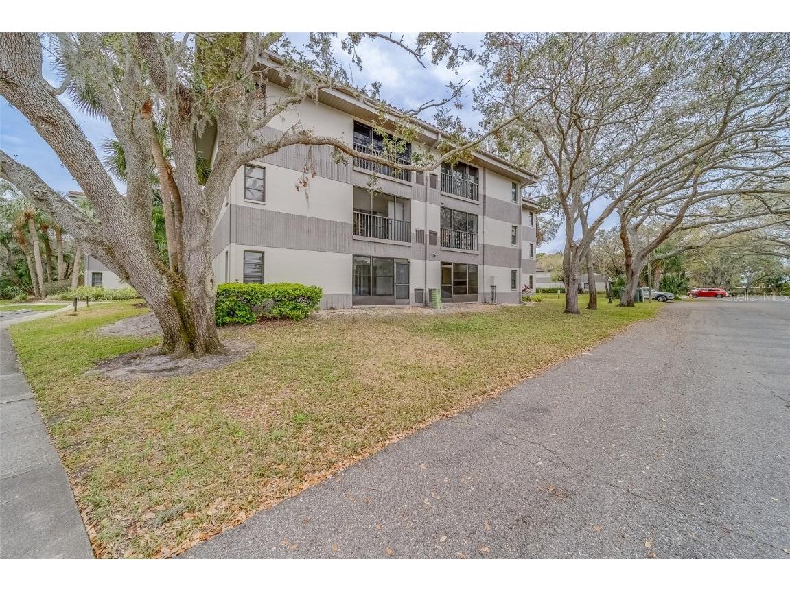 2650 Countryside Boulevard #F209 Clearwater FL 33761 TB8462207 image27