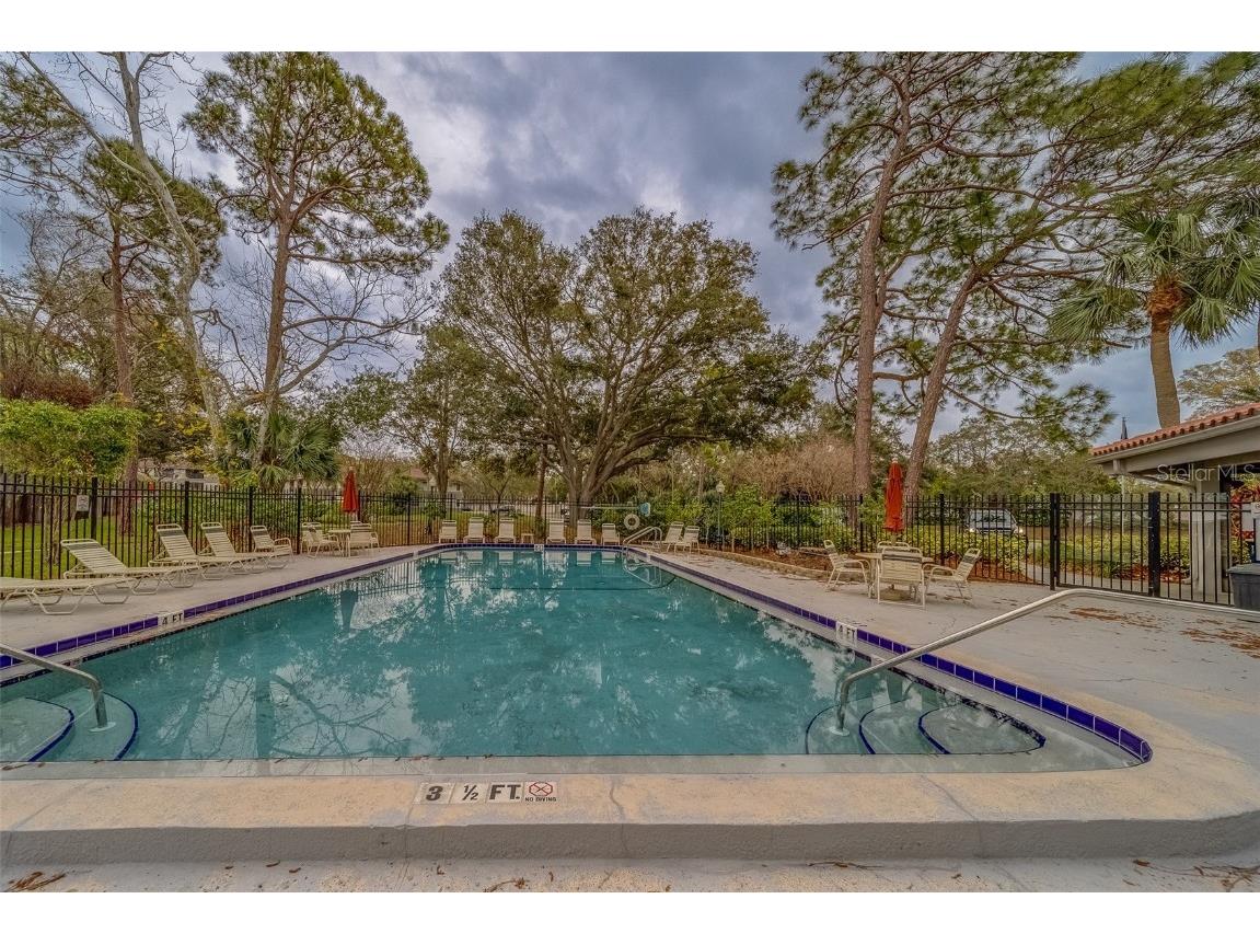 2650 Countryside Boulevard #F209 Clearwater FL 33761 TB8462207 image31