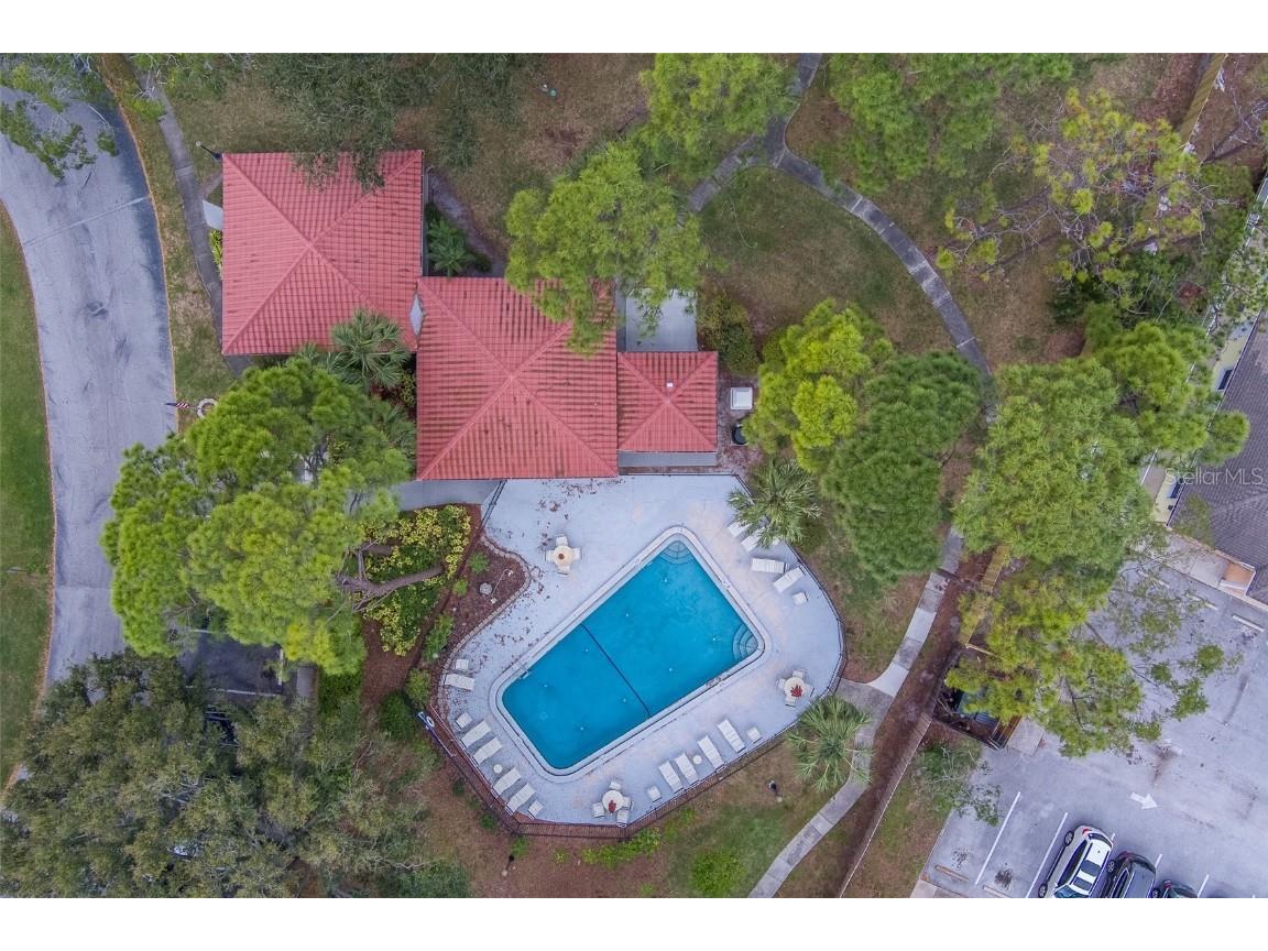 2650 Countryside Boulevard #F209 Clearwater FL 33761 TB8462207 image32