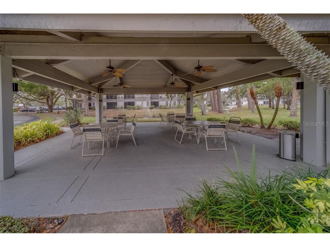 2650 Countryside Boulevard #F209 Clearwater FL 33761 TB8462207 image33