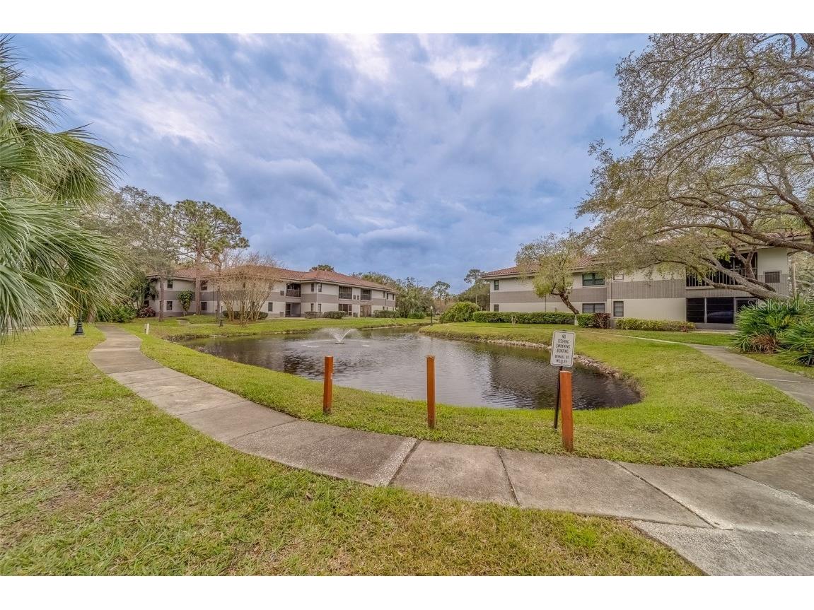 2650 Countryside Boulevard #F209 Clearwater FL 33761 TB8462207 image34