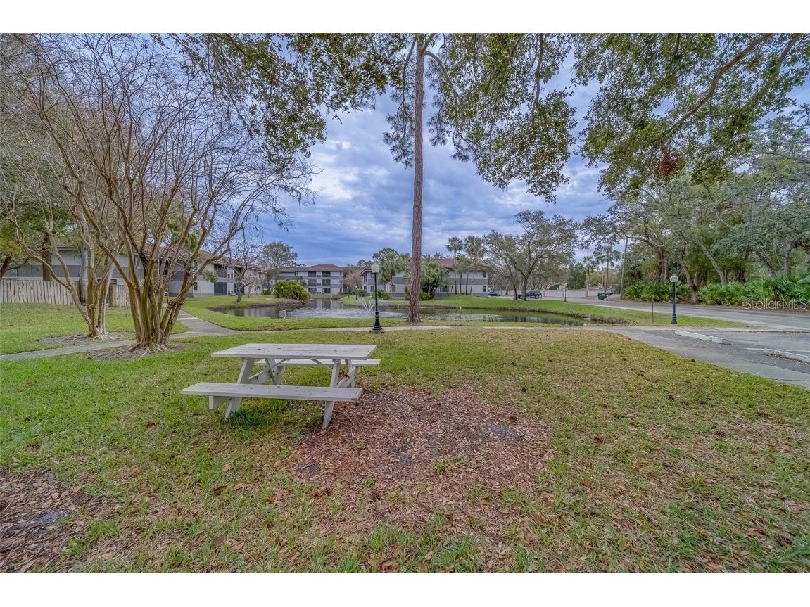 2650 Countryside Boulevard #F209 Clearwater FL 33761 TB8462207 image35