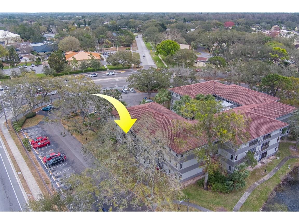 2650 Countryside Boulevard #F209 Clearwater FL 33761 TB8462207 image36