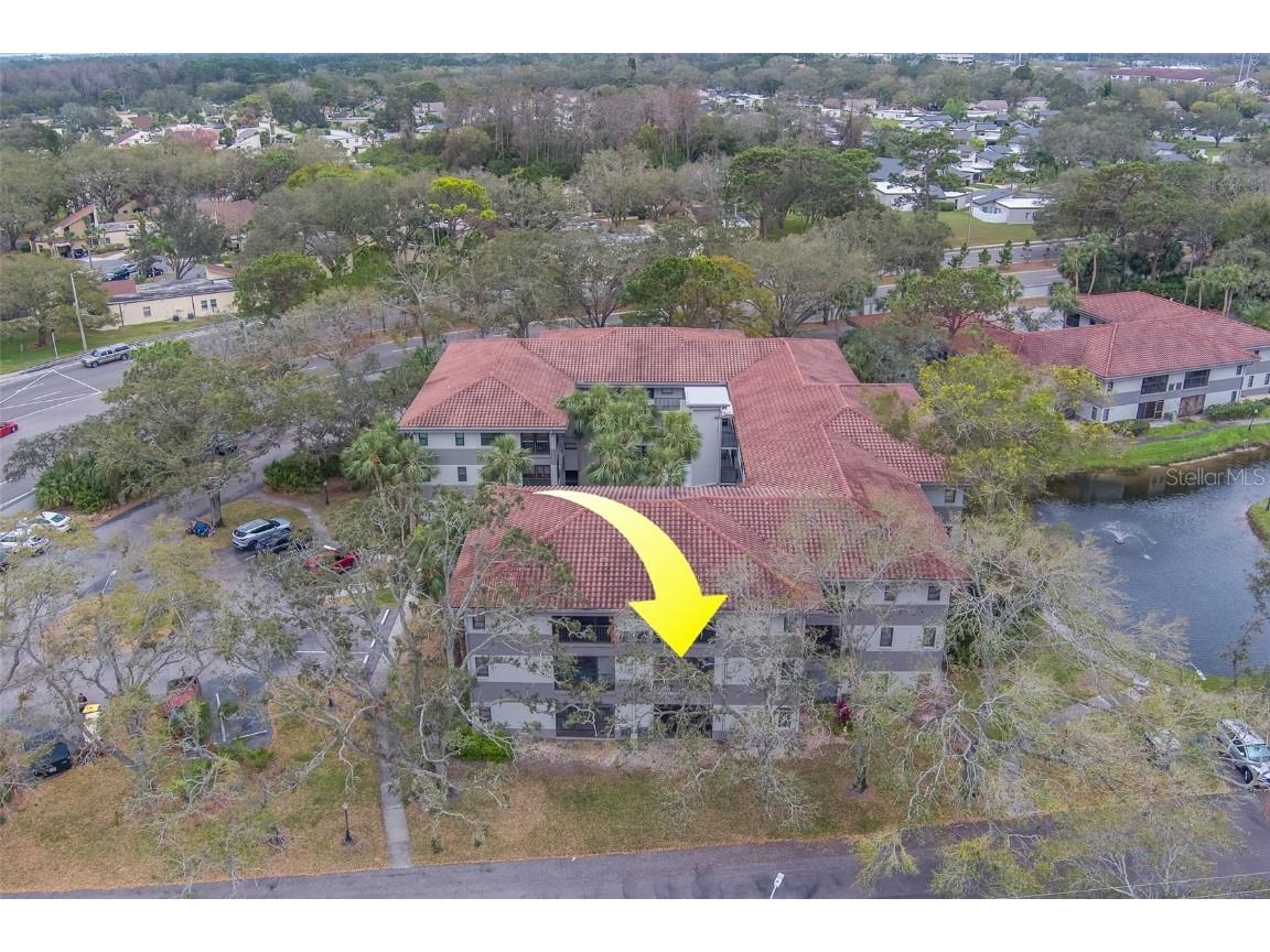 2650 Countryside Boulevard #F209 Clearwater FL 33761 TB8462207 image37