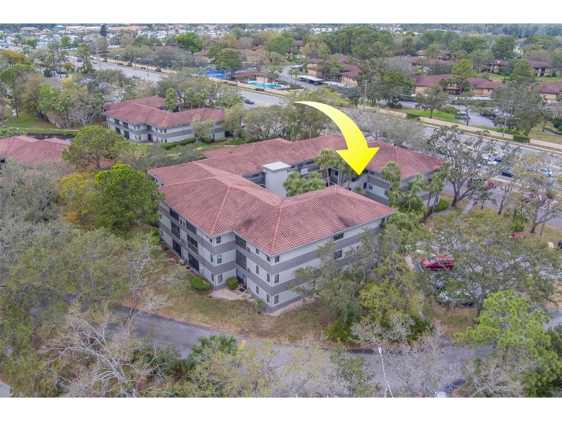 2650 Countryside Boulevard #F209 Clearwater FL 33761 TB8462207 image39