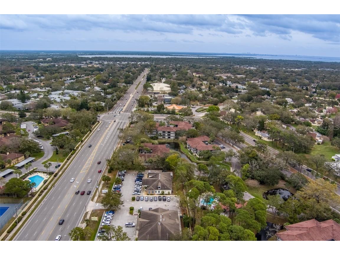 2650 Countryside Boulevard #F209 Clearwater FL 33761 TB8462207 image40
