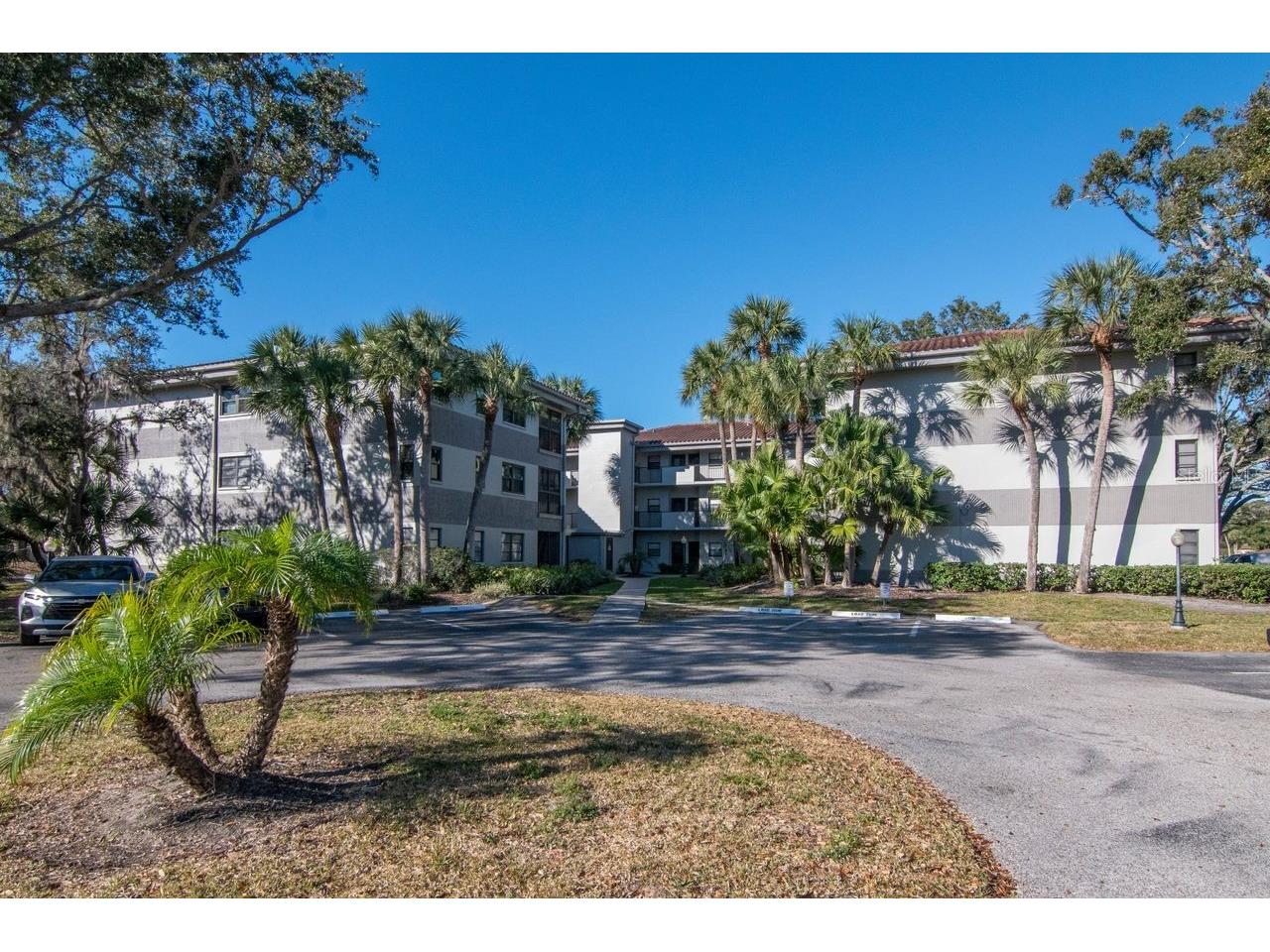 2650 Countryside Boulevard #F303 Clearwater FL 33761 TB8468793 image10