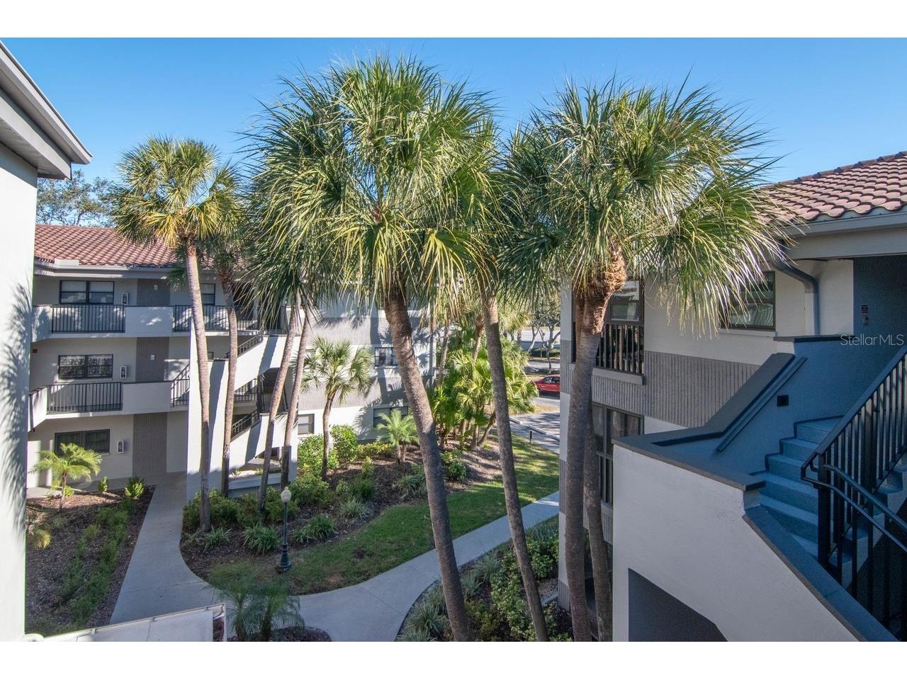 2650 Countryside Boulevard #F303 Clearwater FL 33761 TB8468793 image14