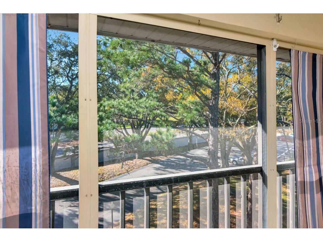 2650 Countryside Boulevard #F303 Clearwater FL 33761 TB8468793 image38