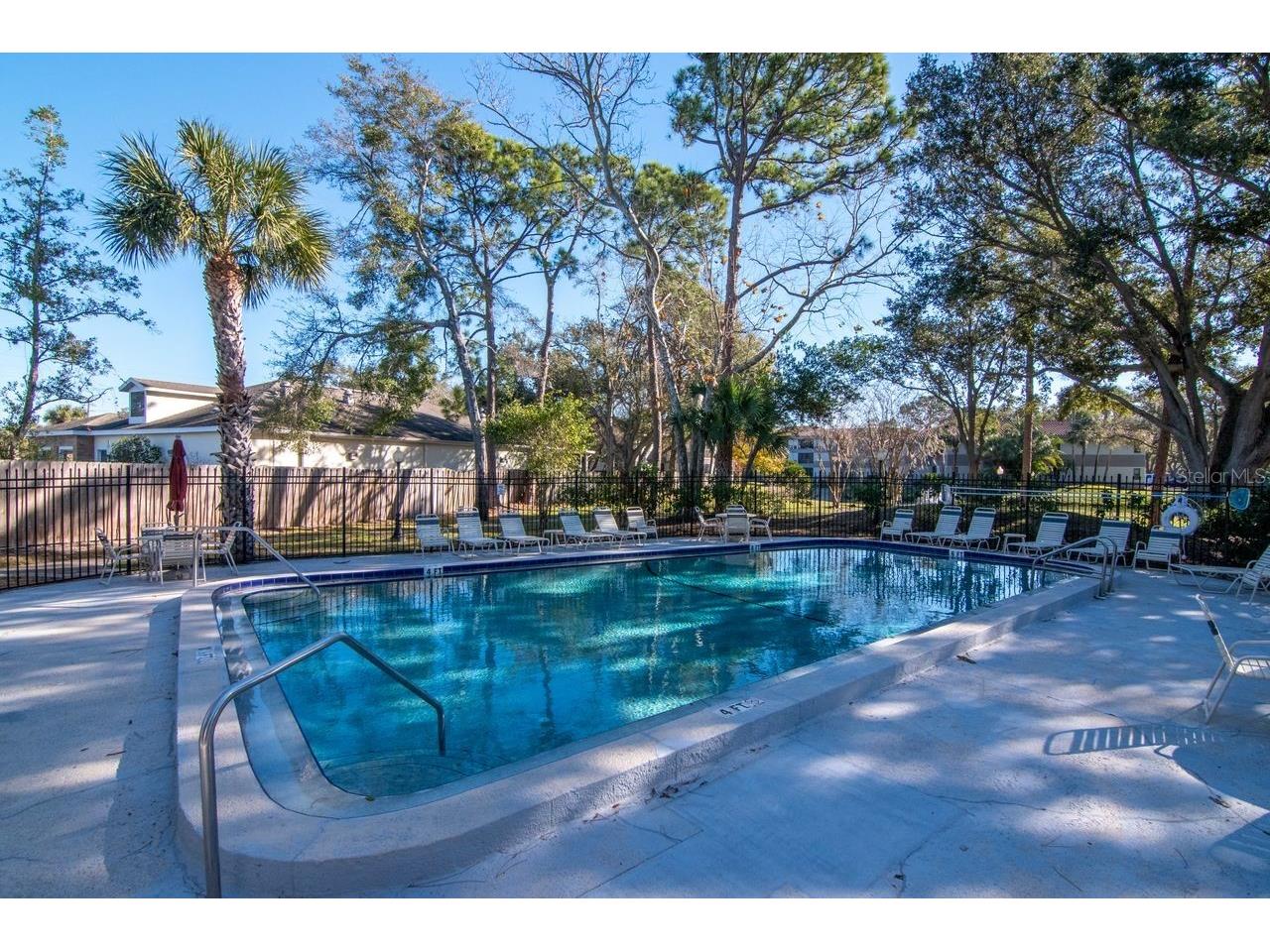 2650 Countryside Boulevard #F303 Clearwater FL 33761 TB8468793 image6