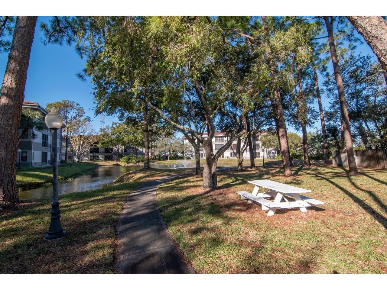 2650 Countryside Boulevard #F303 Clearwater FL 33761 TB8468793 image7