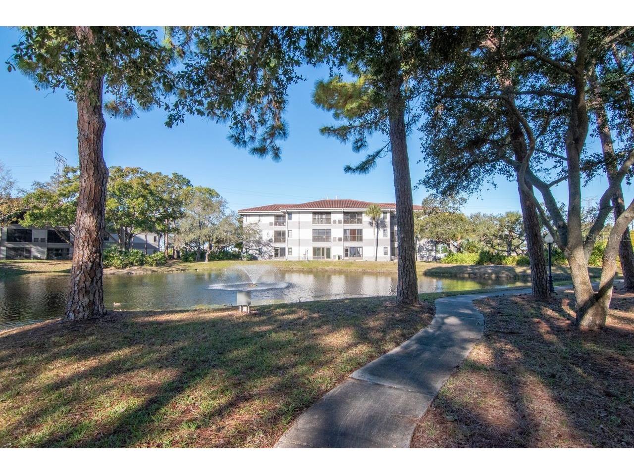 2650 Countryside Boulevard #F303 Clearwater FL 33761 TB8468793 image8
