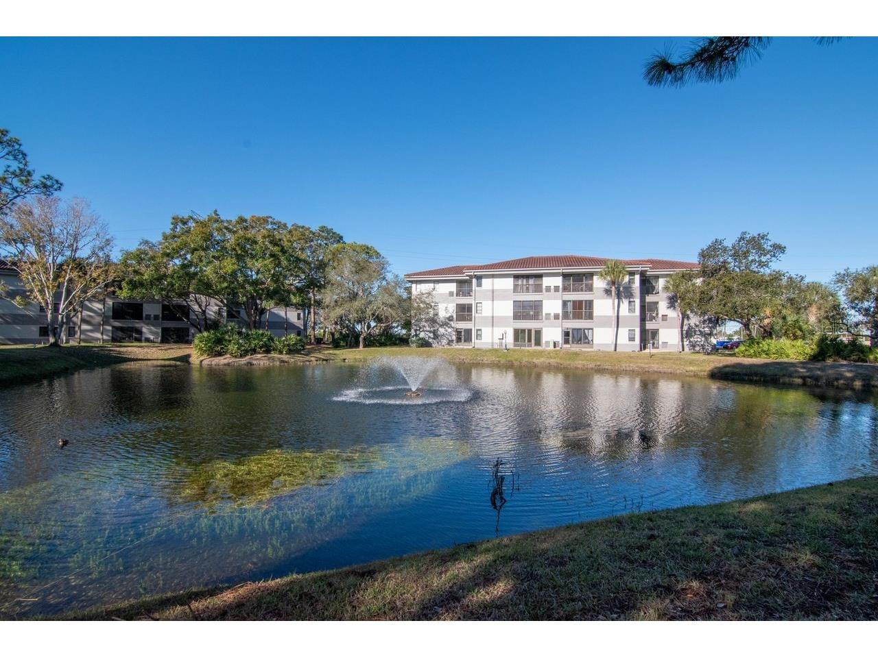 2650 Countryside Boulevard #F303 Clearwater FL 33761 TB8468793 image9