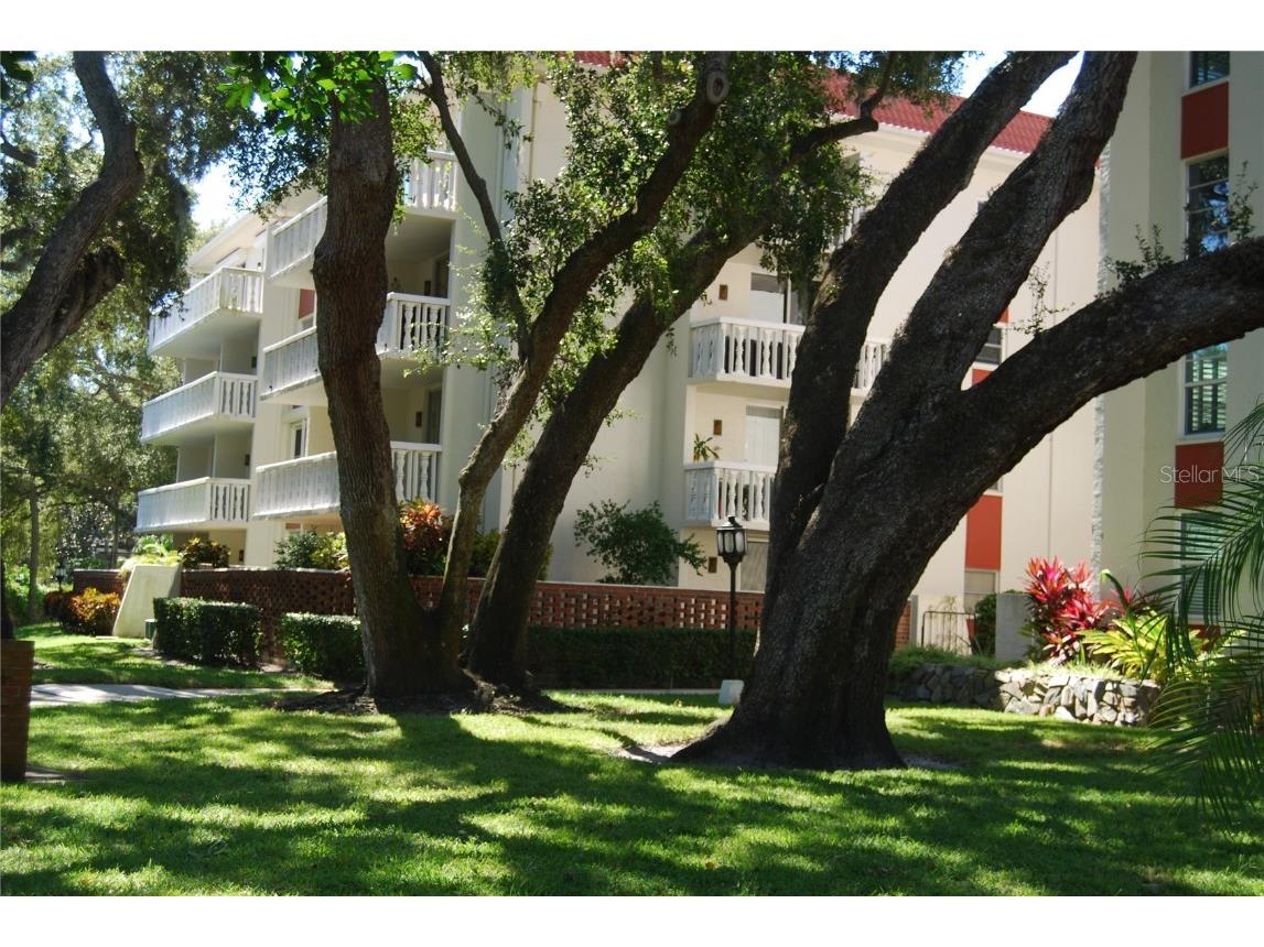 2650 Pearce Drive #106 Clearwater FL 33764 TB8438200 image19