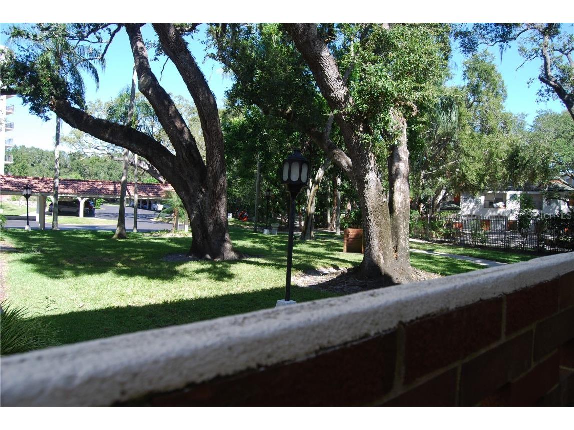 2650 Pearce Drive #106 Clearwater FL 33764 TB8438200 image38