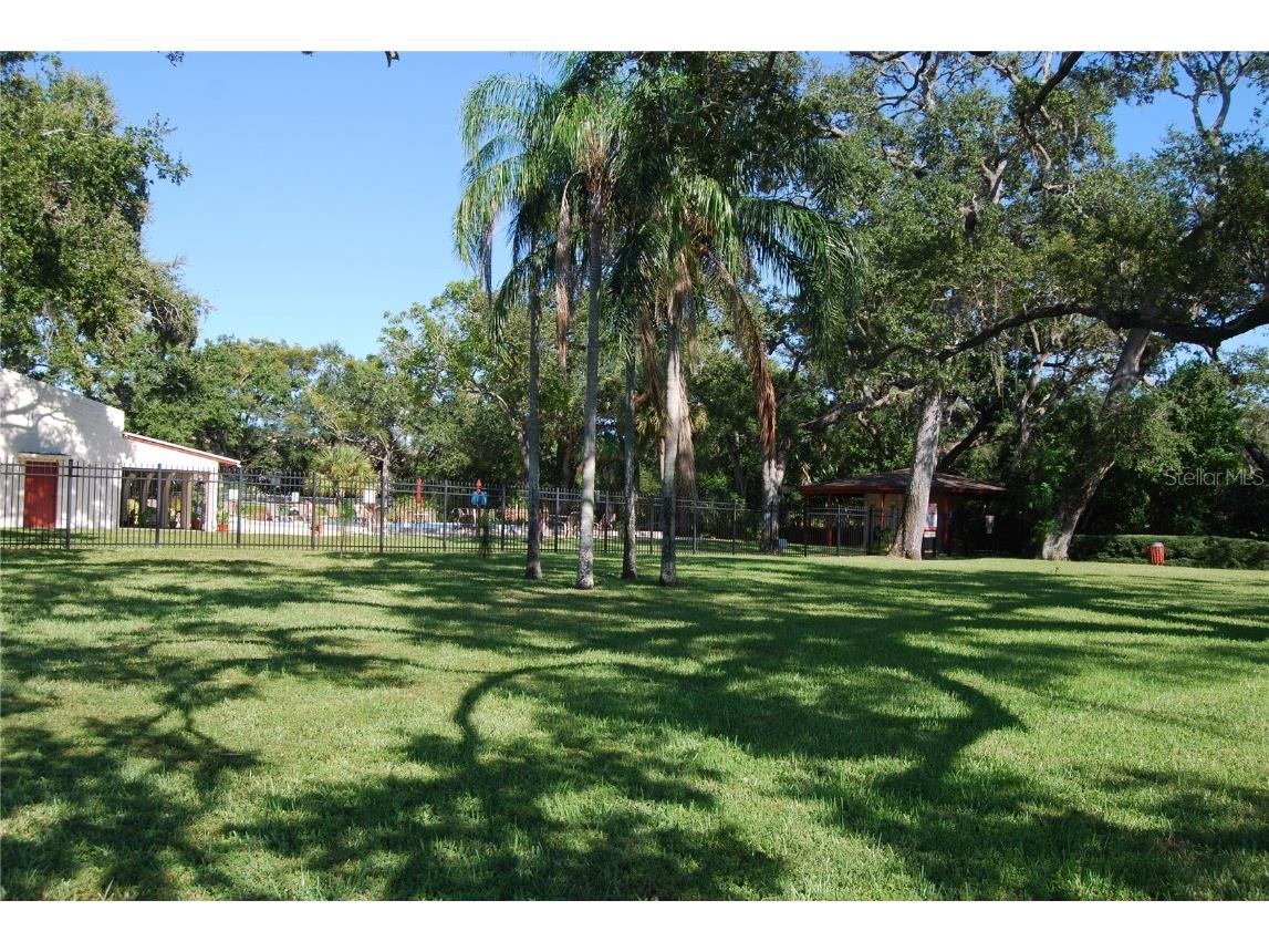 2650 Pearce Drive #106 Clearwater FL 33764 TB8438200 image44