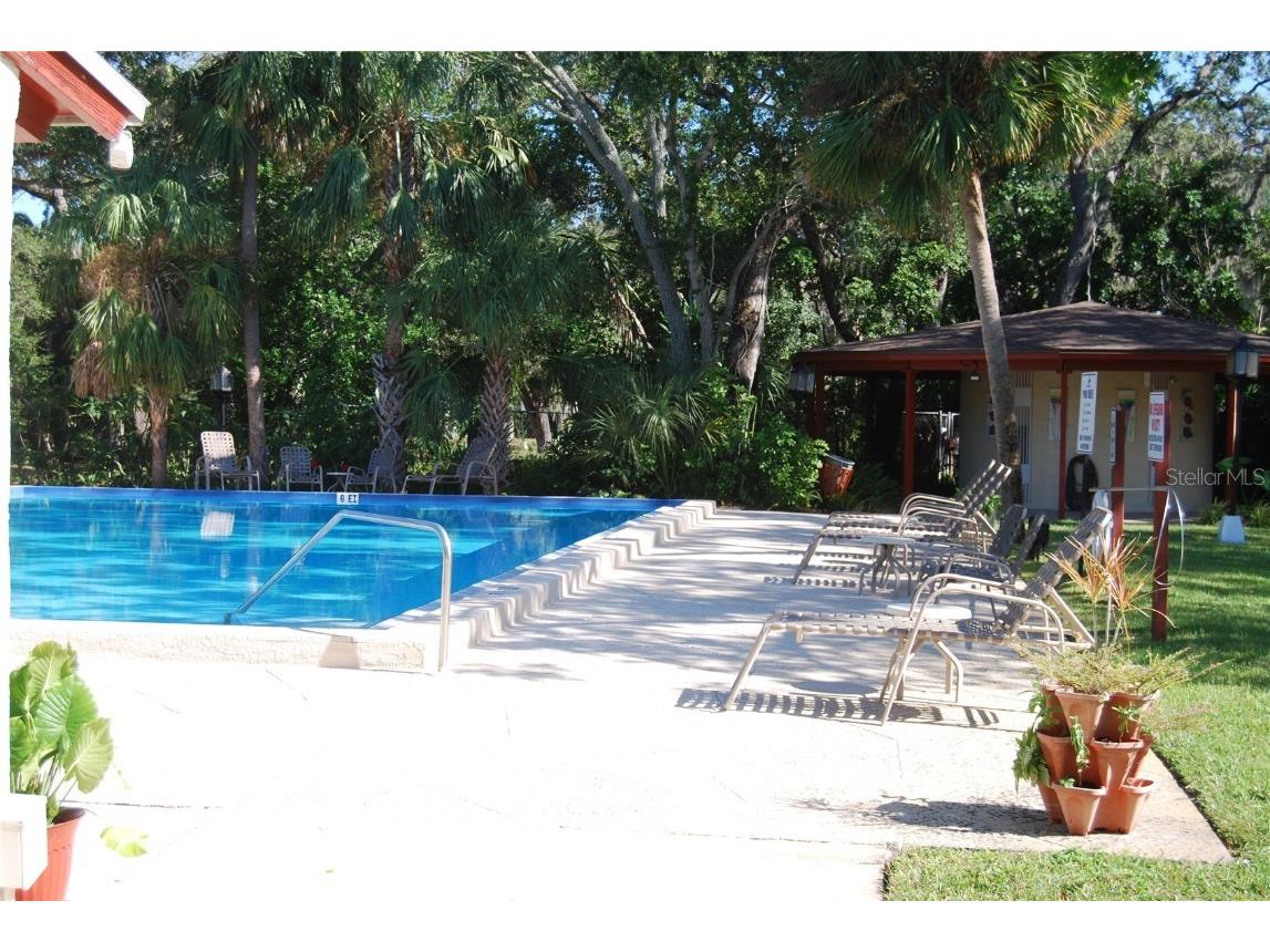 2650 Pearce Drive #106 Clearwater FL 33764 TB8438200 image47