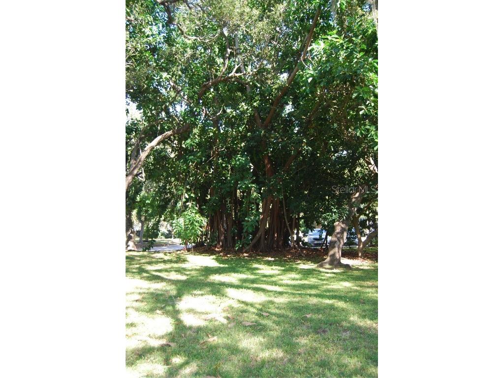 2650 Pearce Drive #106 Clearwater FL 33764 TB8438200 image55