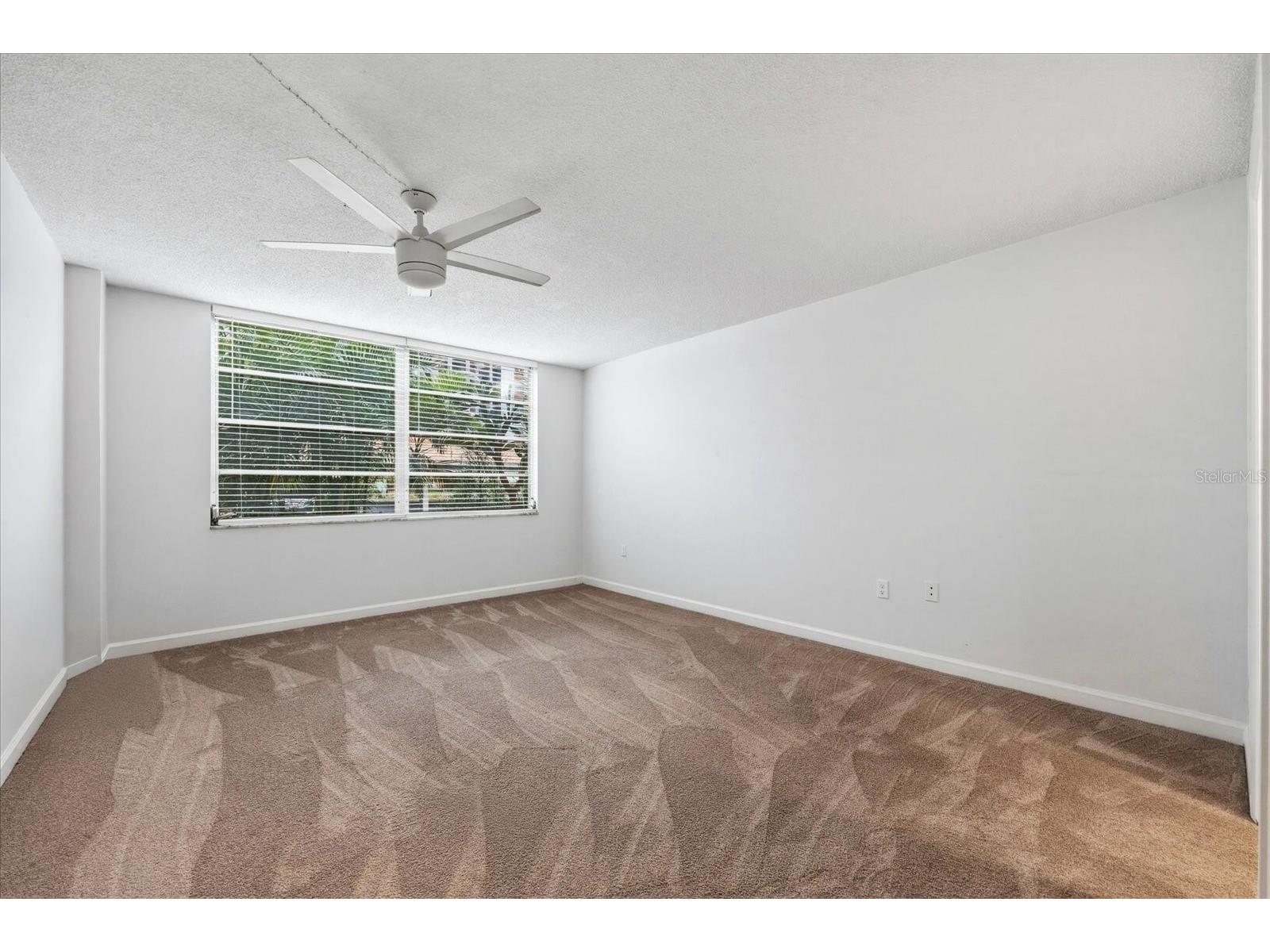 2650 Pearce Drive #111 Clearwater FL 33764 TB8495771 image22