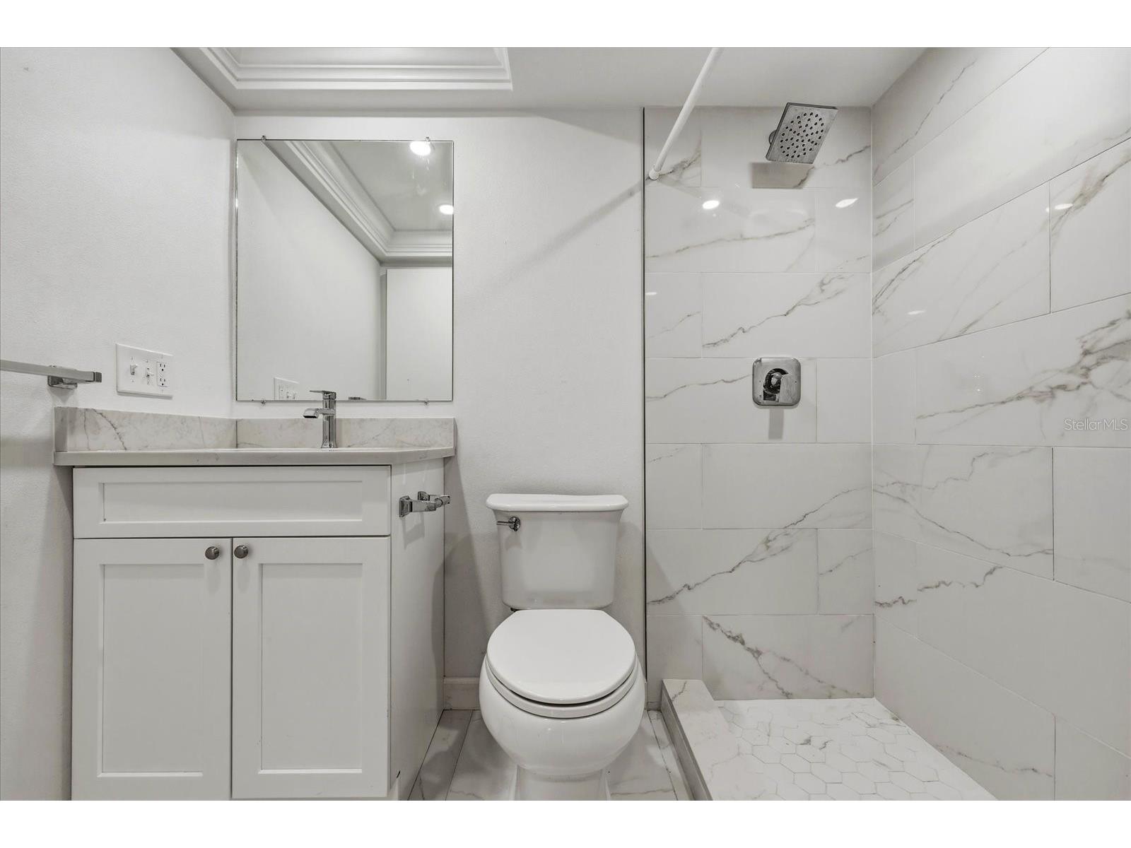 2650 Pearce Drive #111 Clearwater FL 33764 TB8495771 image26