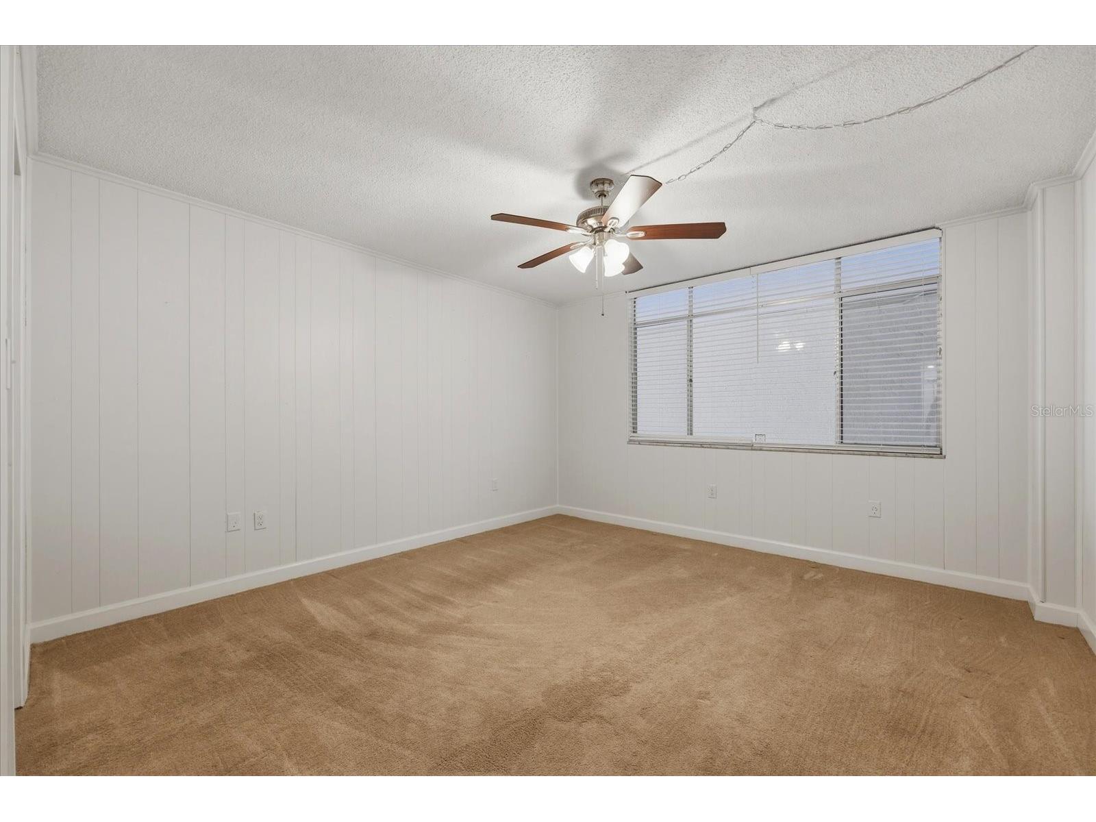 2650 Pearce Drive #111 Clearwater FL 33764 TB8495771 image29
