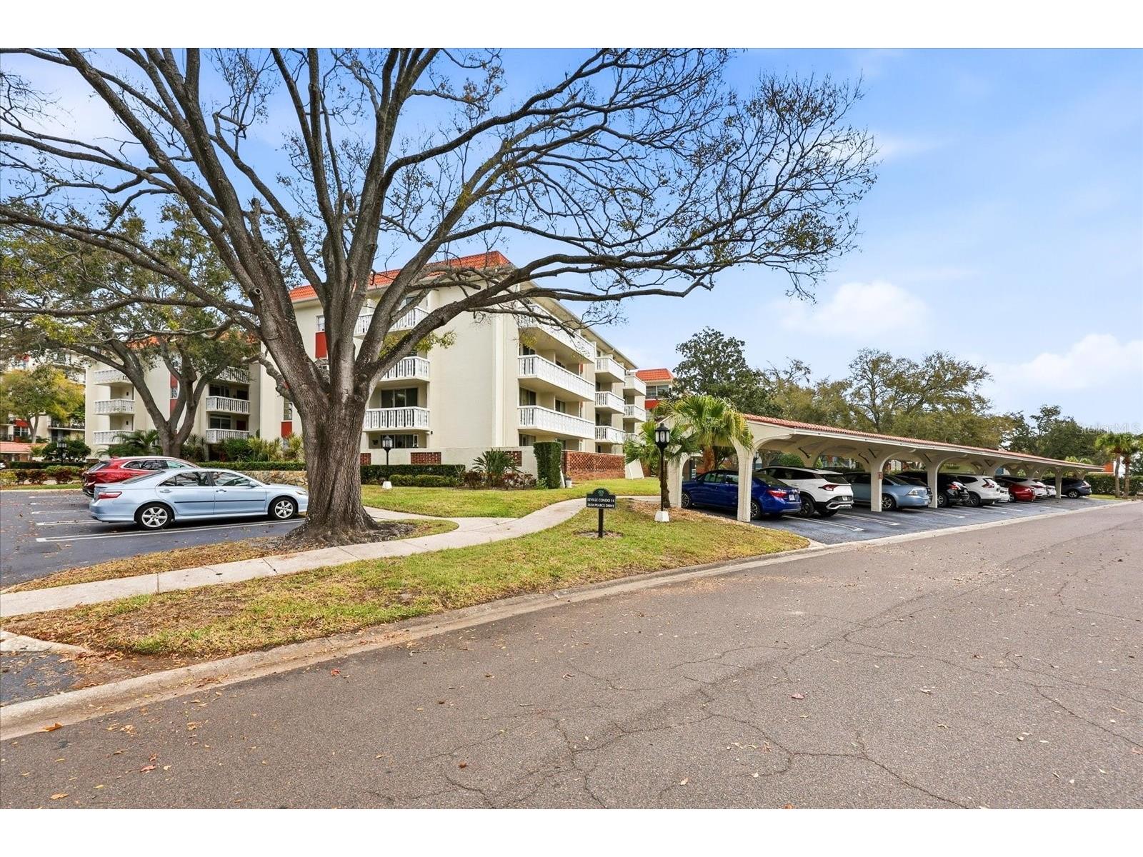 2650 Pearce Drive #111 Clearwater FL 33764 TB8495771 image3