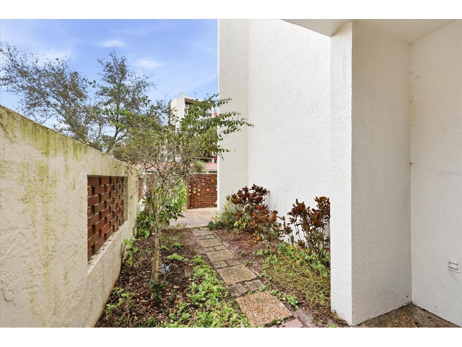 2650 Pearce Drive #111 Clearwater FL 33764 TB8495771 image34