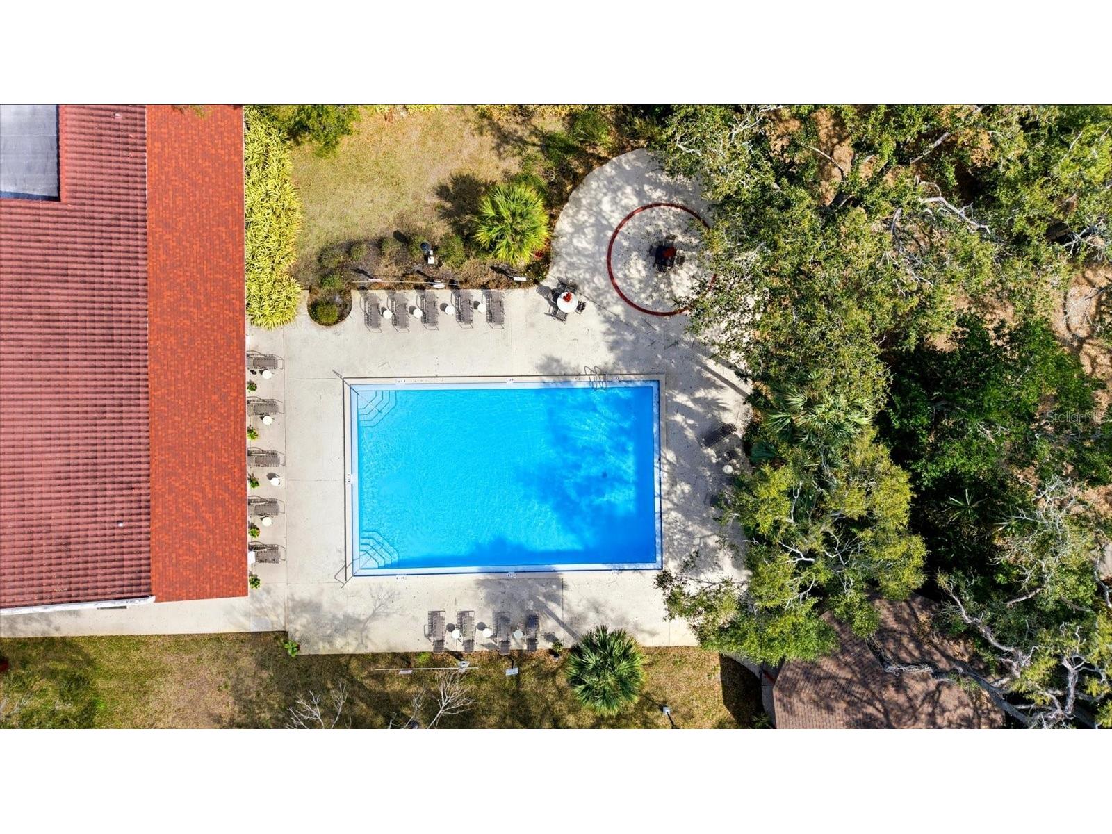 2650 Pearce Drive #111 Clearwater FL 33764 TB8495771 image41