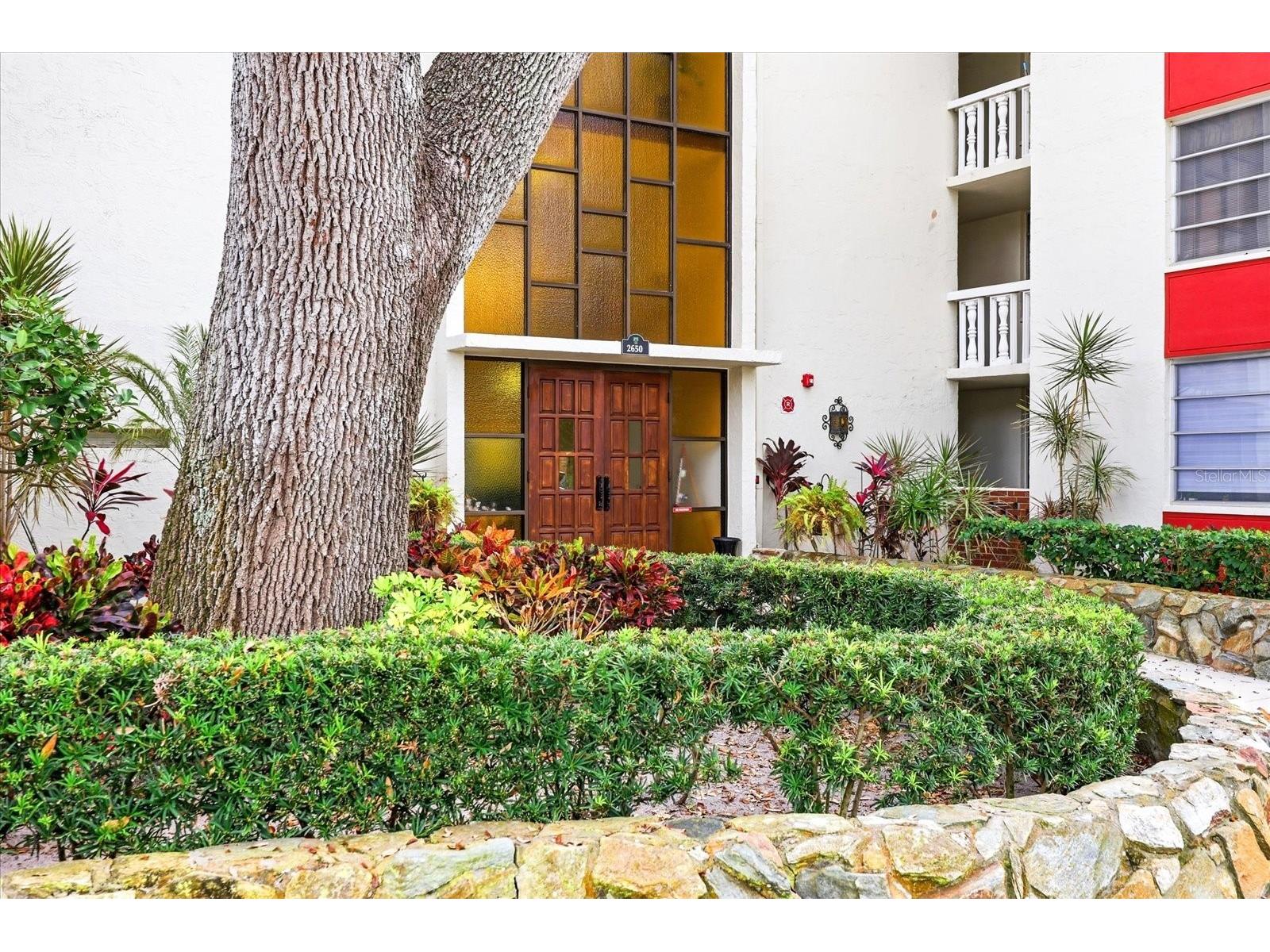 2650 Pearce Drive #111 Clearwater FL 33764 TB8495771 image7