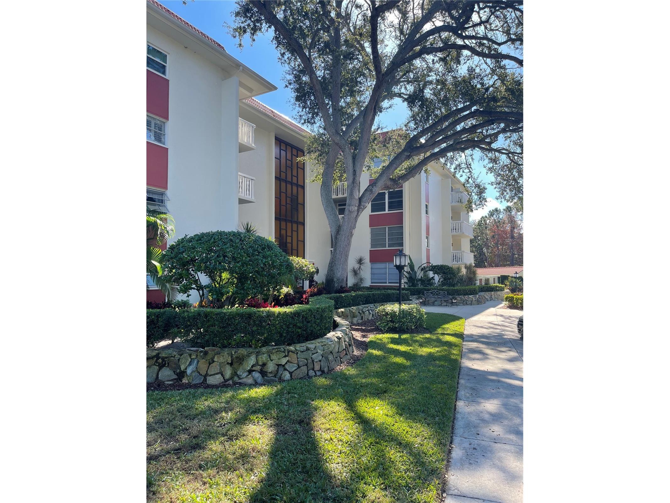 2650 Pearce Drive #309 Clearwater FL 33764 TB8466104 image1