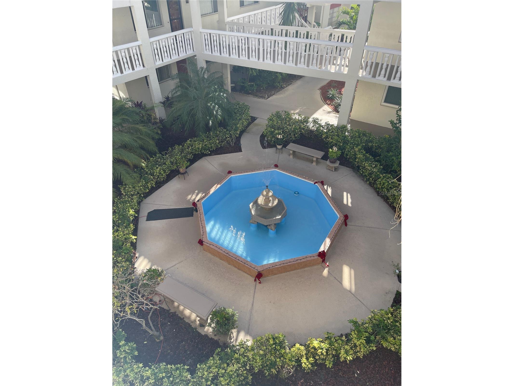 2650 Pearce Drive #309 Clearwater FL 33764 TB8466104 image12