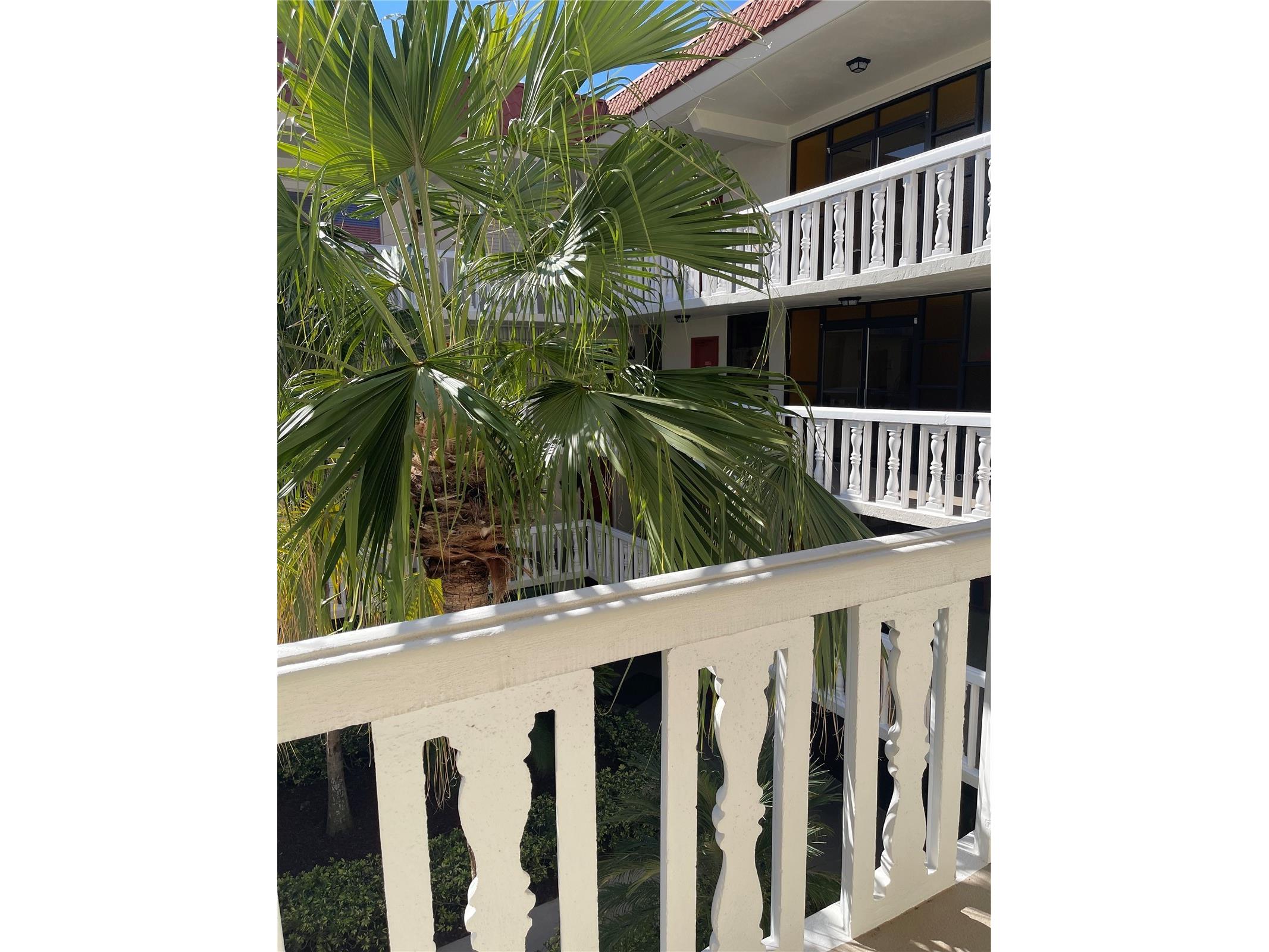 2650 Pearce Drive #309 Clearwater FL 33764 TB8466104 image13