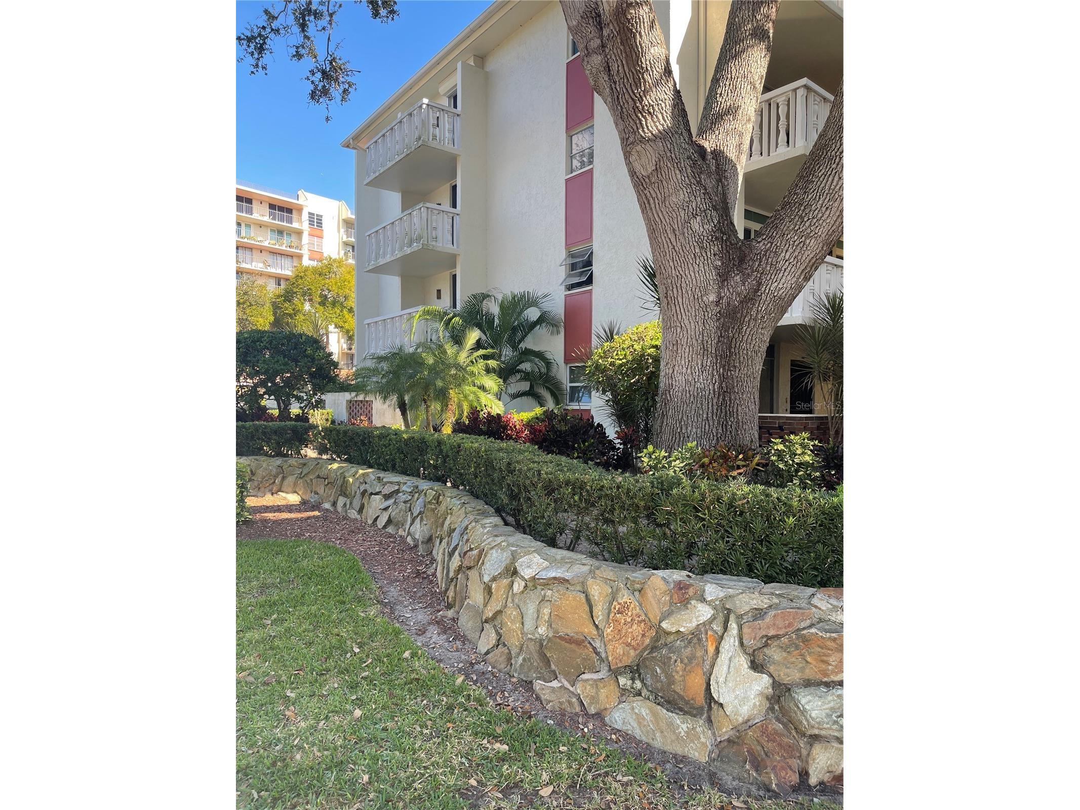 2650 Pearce Drive #309 Clearwater FL 33764 TB8466104 image2