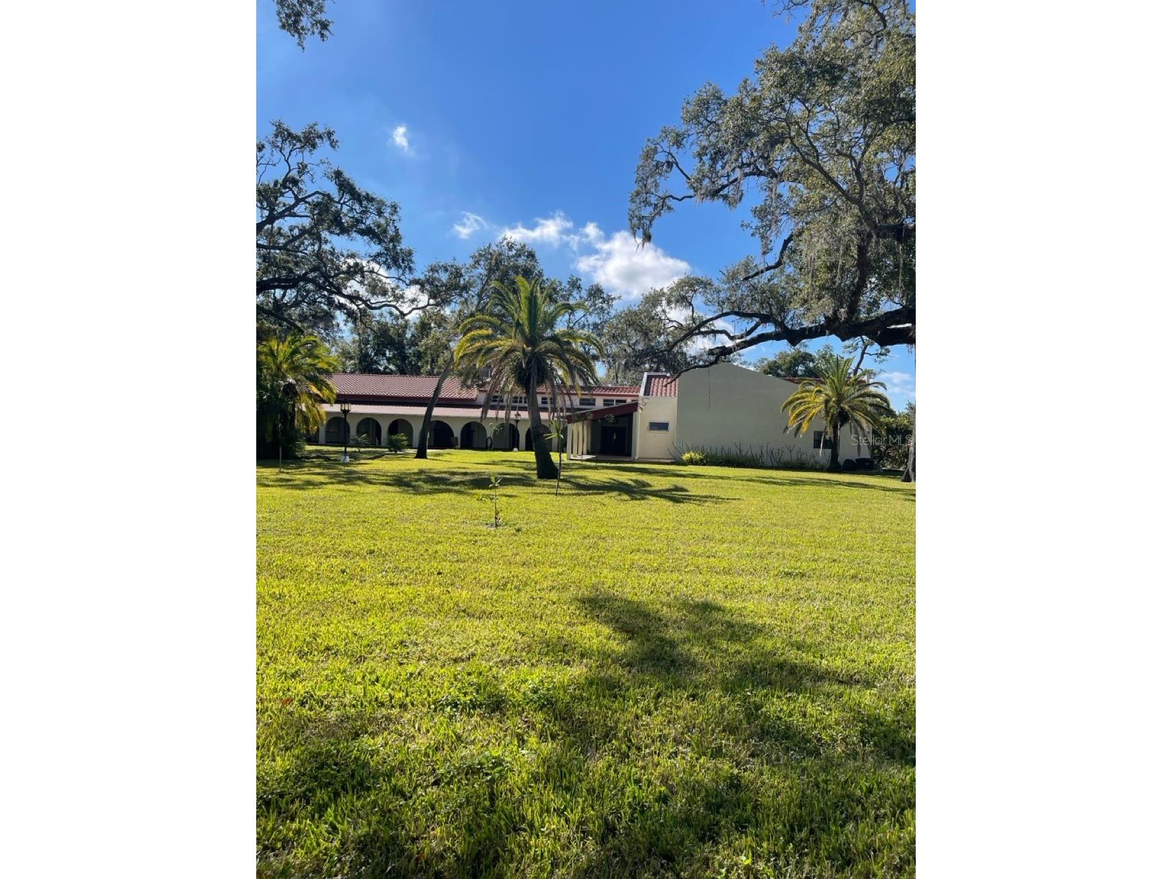 2650 Pearce Drive #309 Clearwater FL 33764 TB8466104 image38