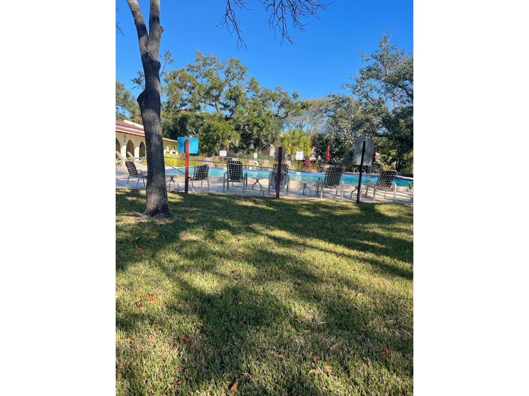 2650 Pearce Drive #309 Clearwater FL 33764 TB8466104 image39