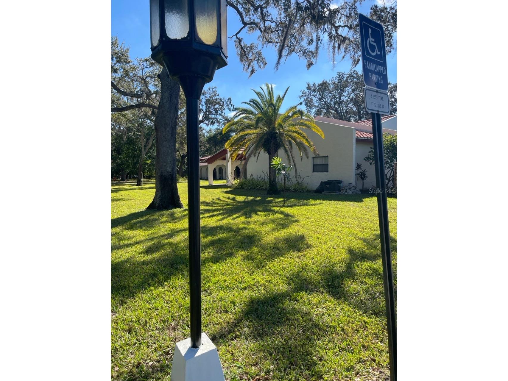 2650 Pearce Drive #309 Clearwater FL 33764 TB8466104 image41