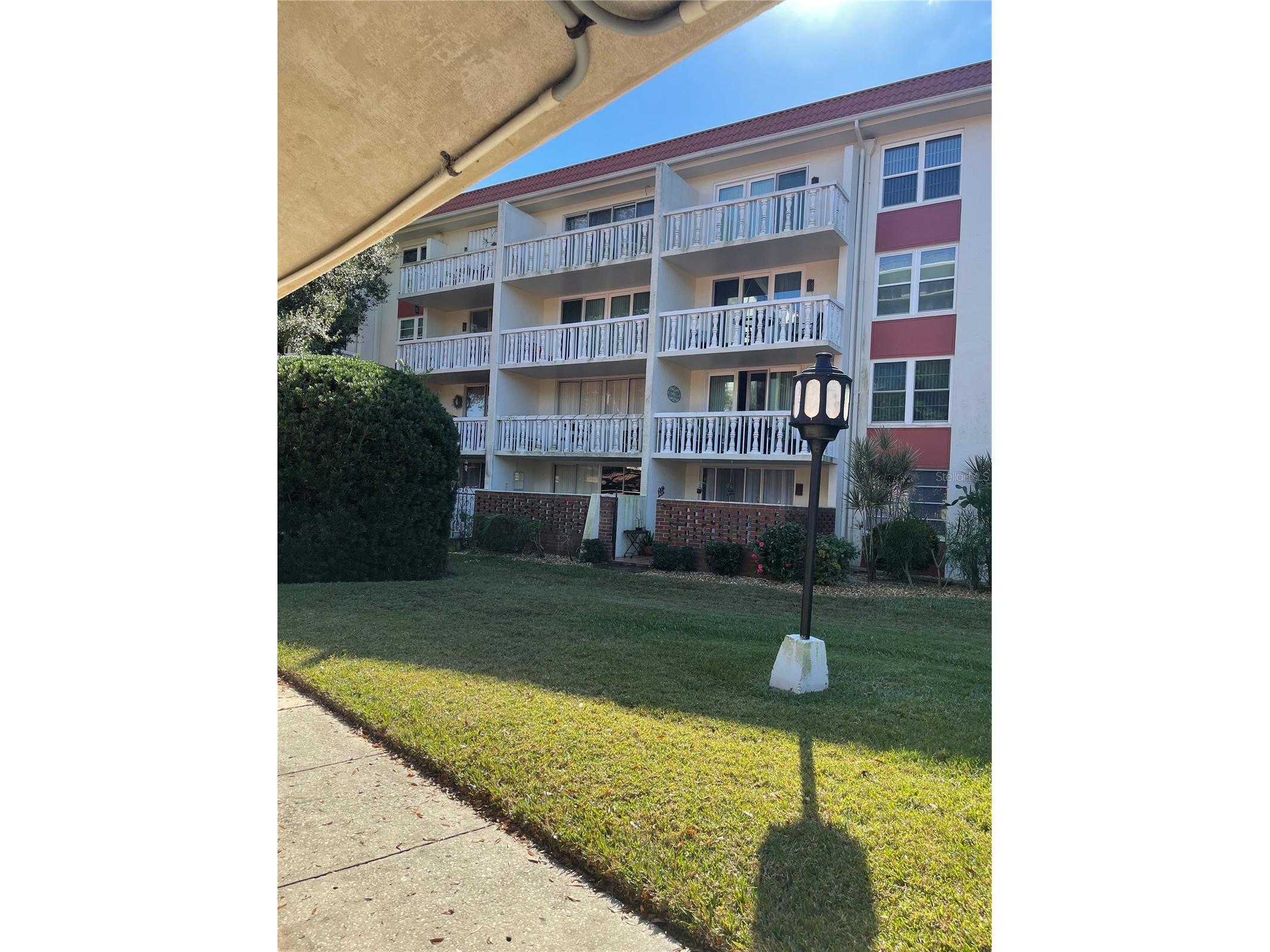 2650 Pearce Drive #309 Clearwater FL 33764 TB8466104 image5